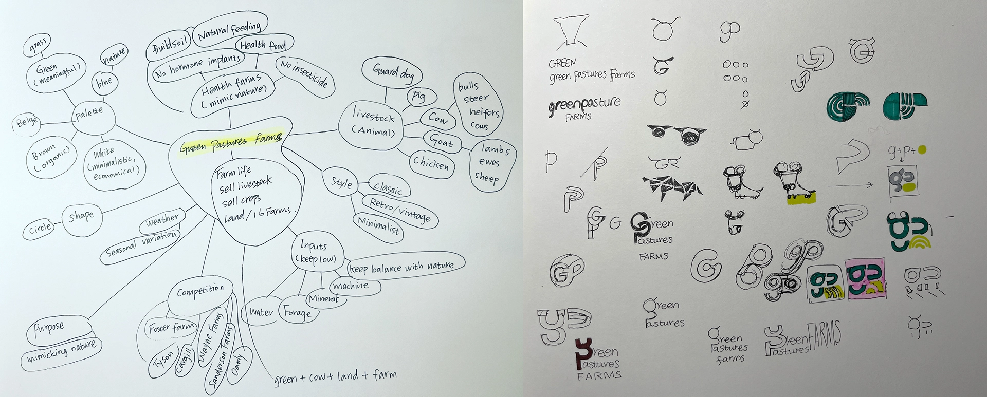 Mind map and sketches