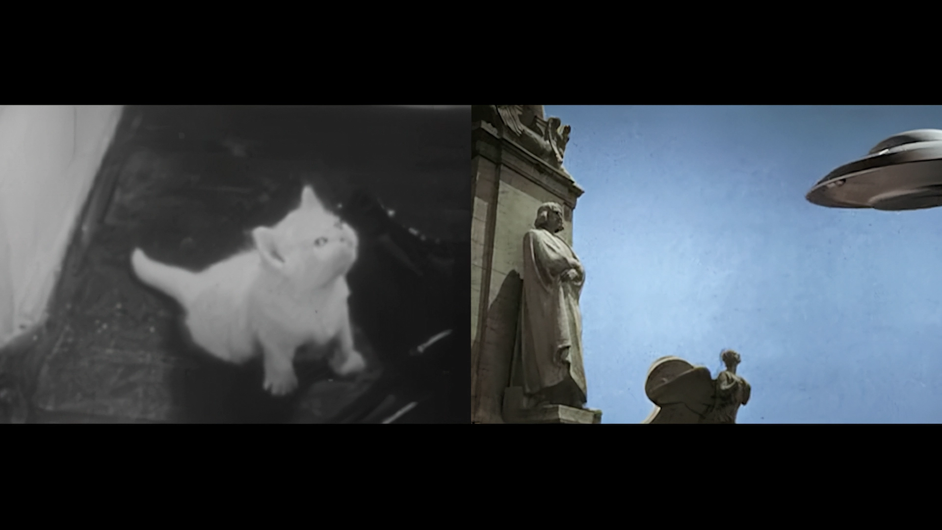 Motion project thumbnail 11